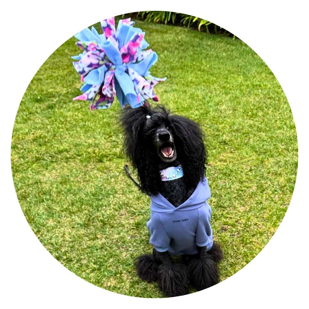 3-in-1 Enrichment Tube for Dogs: Tug Toy, Treat Puzzle and Snuffle Ball