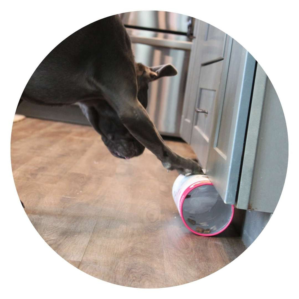 3-in-1 Enrichment Tube for Dogs: Tug Toy, Treat Puzzle and Snuffle Ball