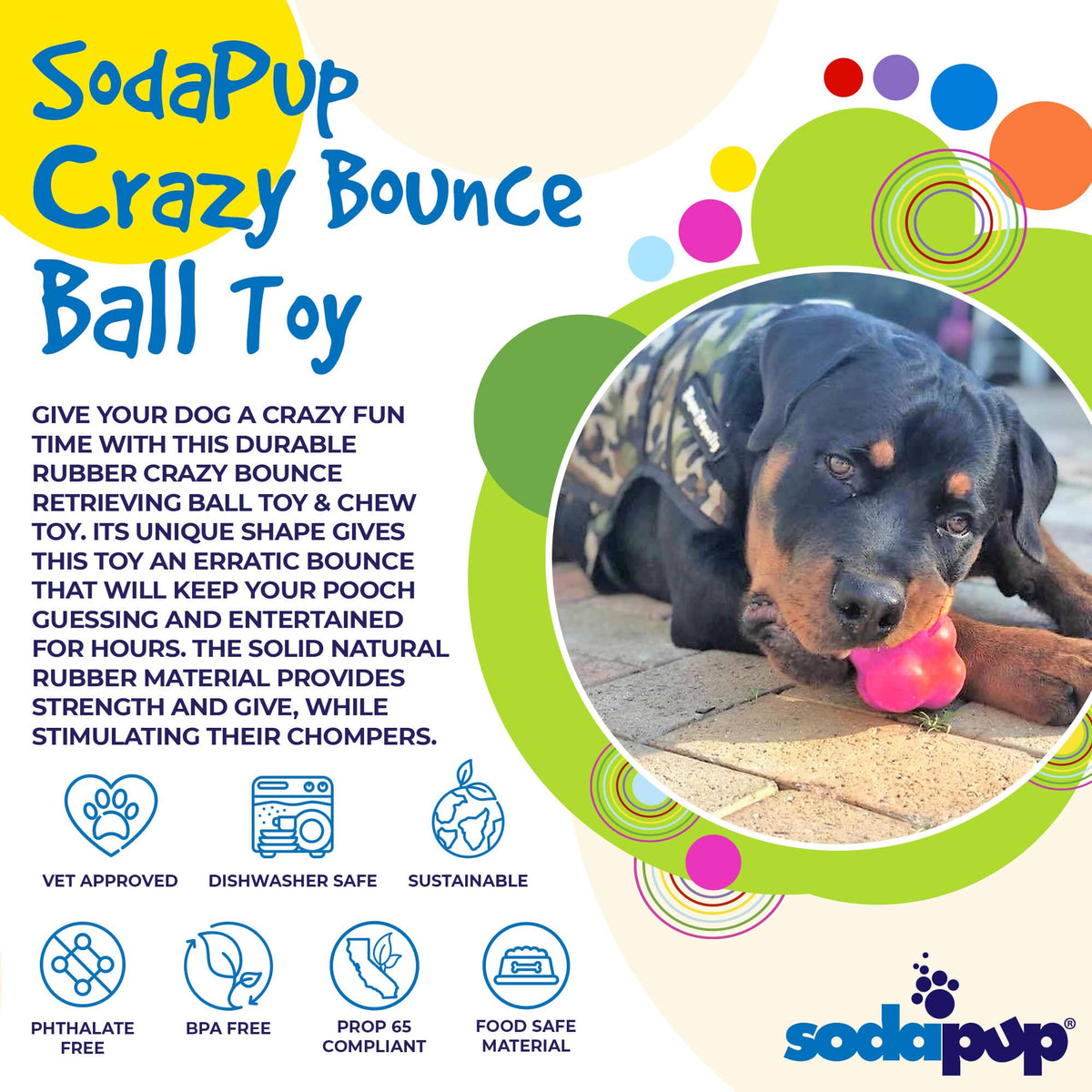 Crazy Bounce Rubber Fetch Ball