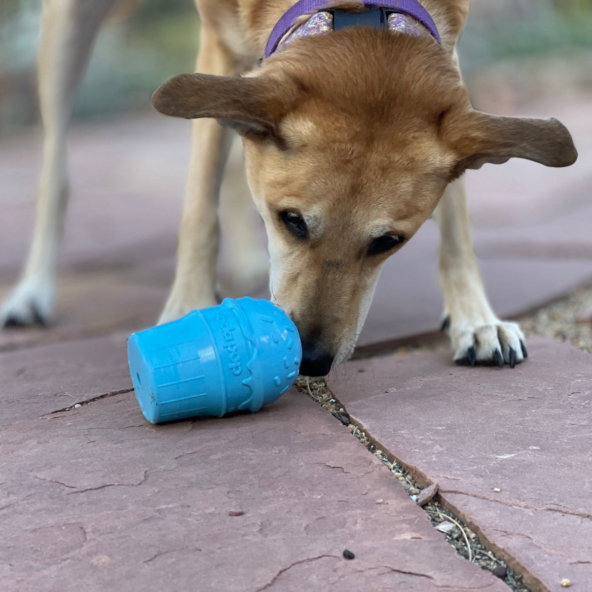 Ice Cream Cone Treat Dispenser Toy