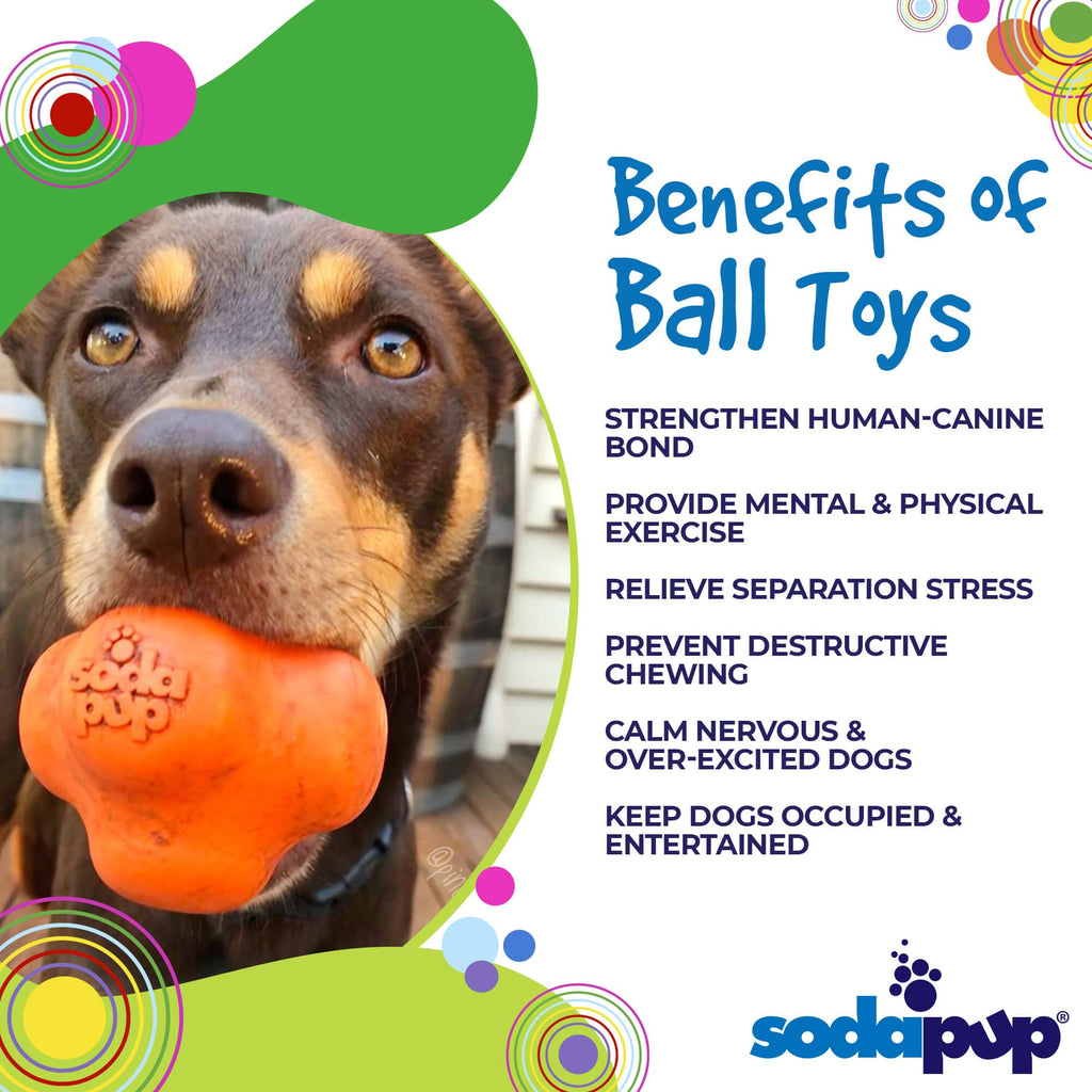 Crazy Bounce Rubber Fetch Ball