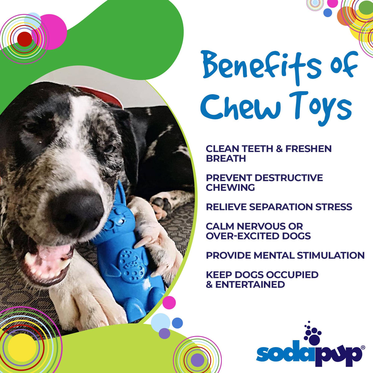 Bunny Nylon Chew Toy