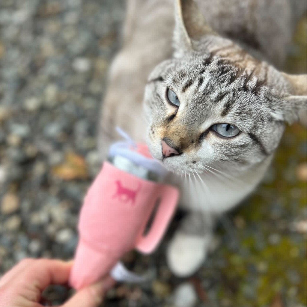 Kitty Cup Catnip Crinkle Toy