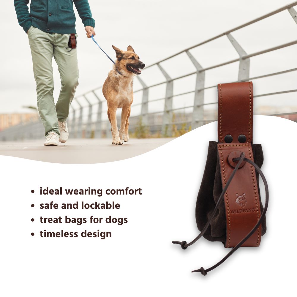 Leather Dog Treat Pouch
