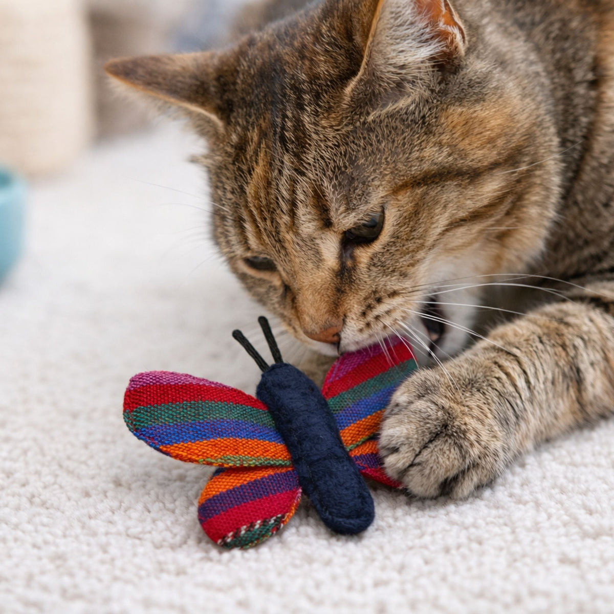 Butterfly Cat Toy