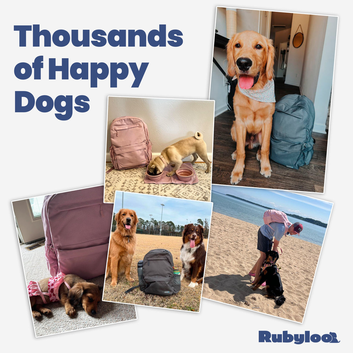 The Original Doggy Bag Backpack