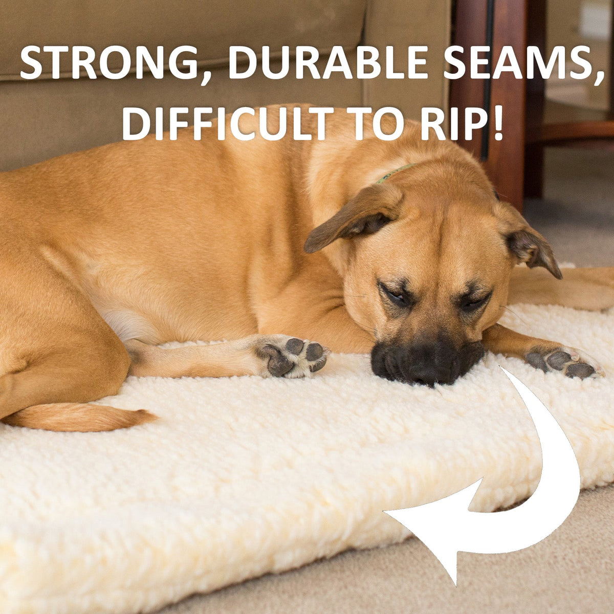 HuggleSnuggler Cat & Small Dog Bed