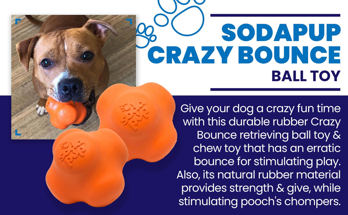 Crazy Bounce Rubber Fetch Ball