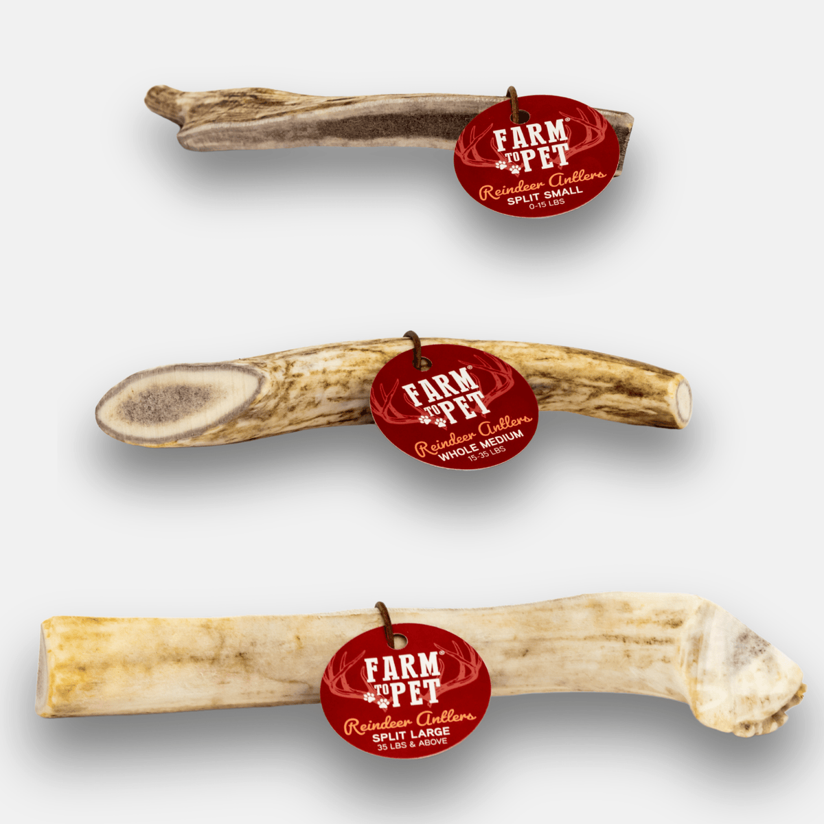 Reindeer Antler Dog Chew