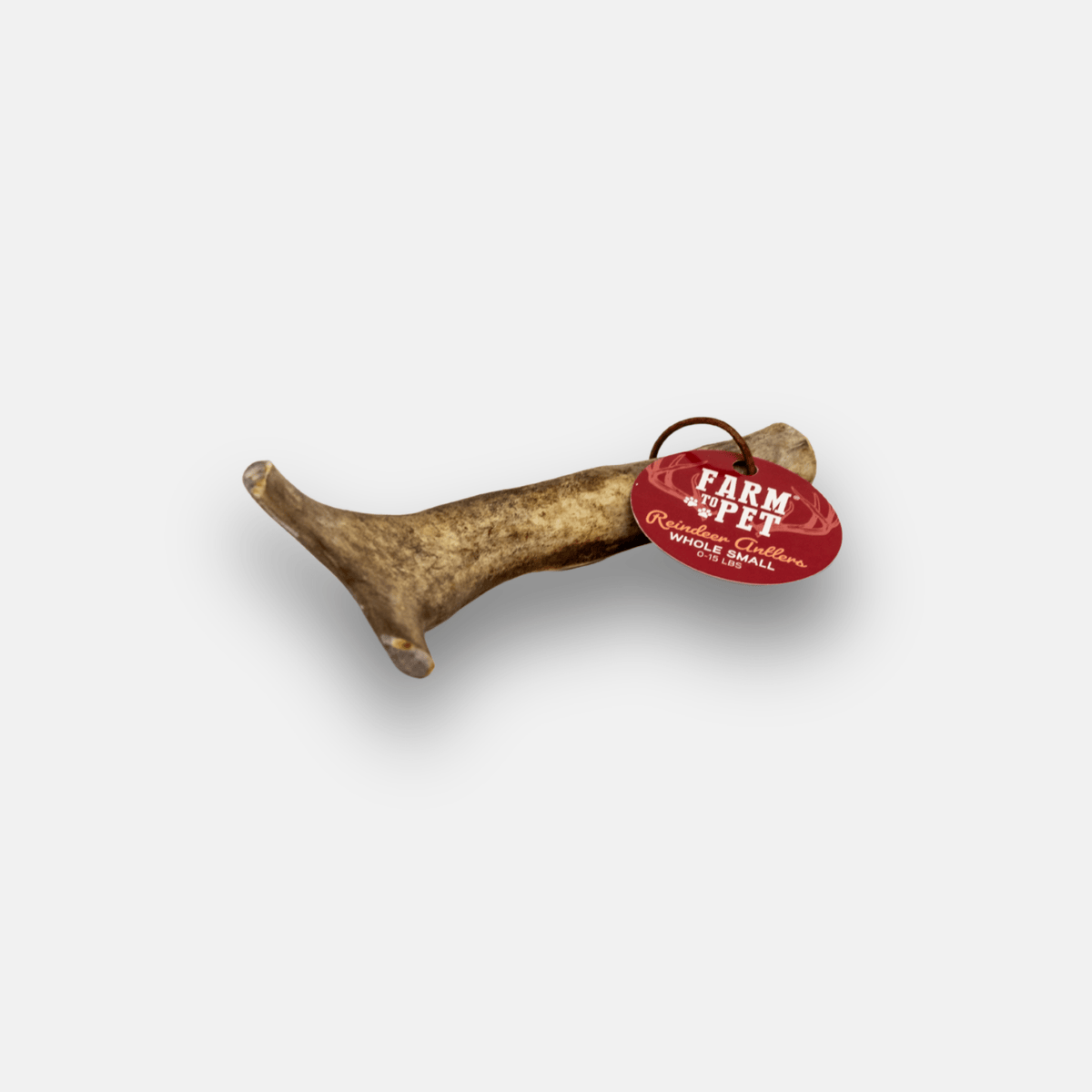 Reindeer Antler Dog Chew