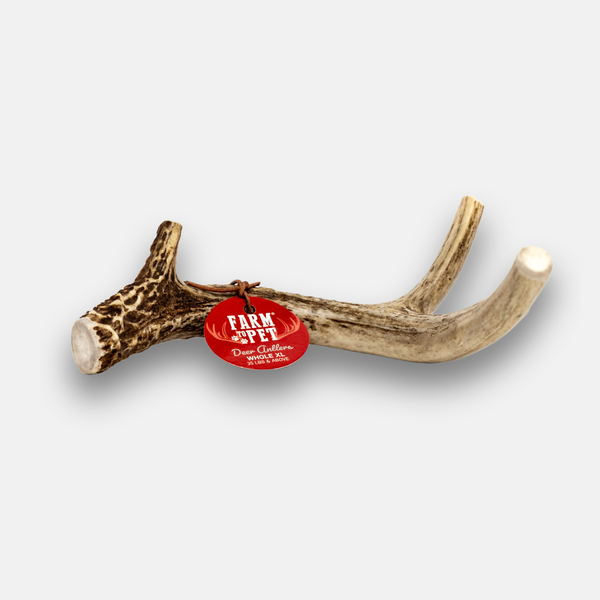 Deer Antler Dog Chew