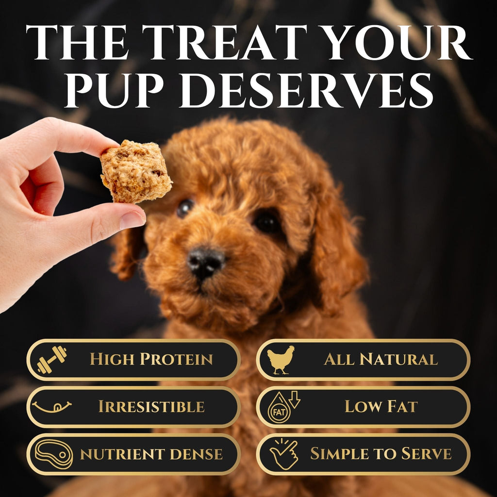 Freeze-Dried Chicken Crisps Dog Treats