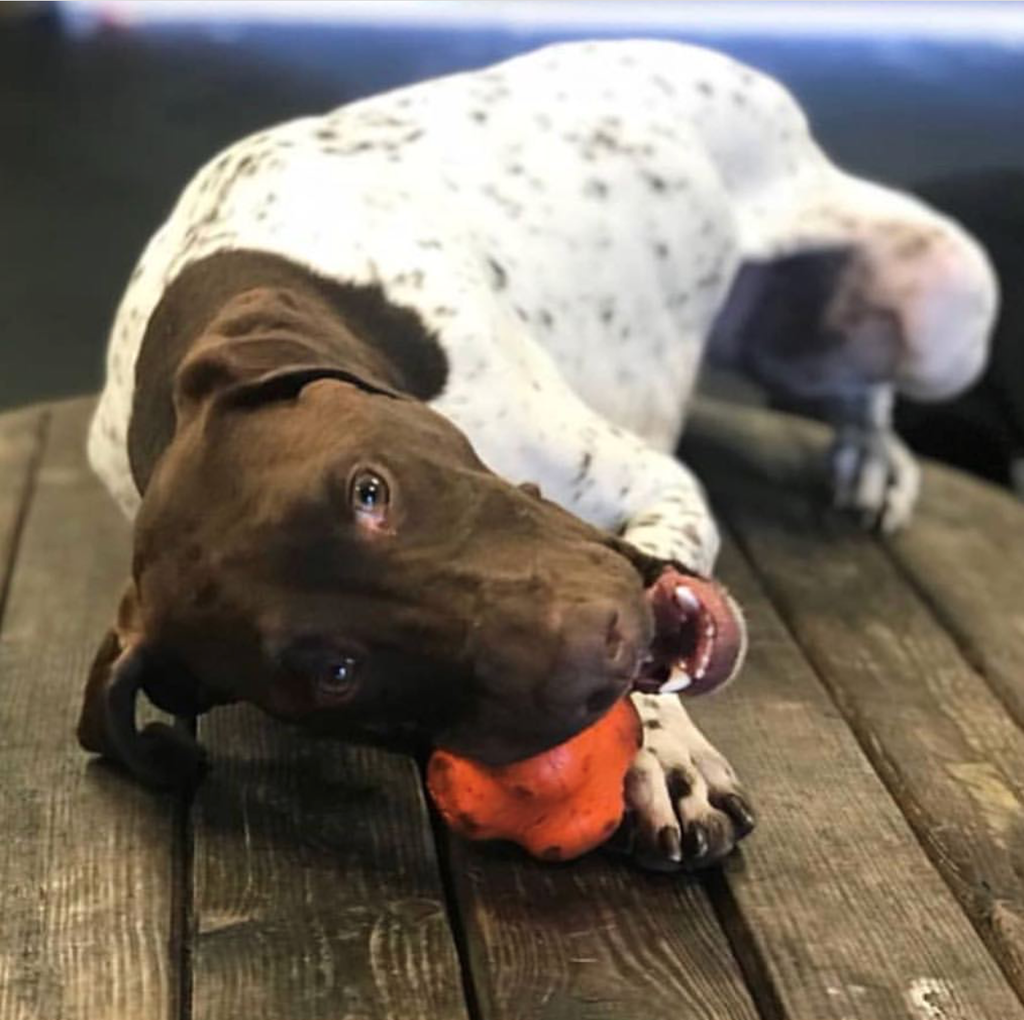 Crazy Bounce Rubber Fetch Ball