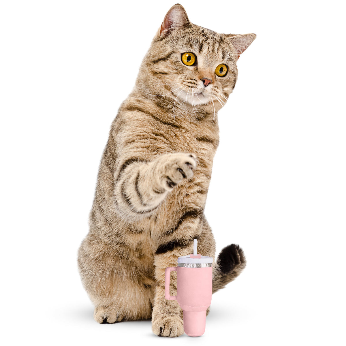 Kitty Cup Catnip Crinkle Toy