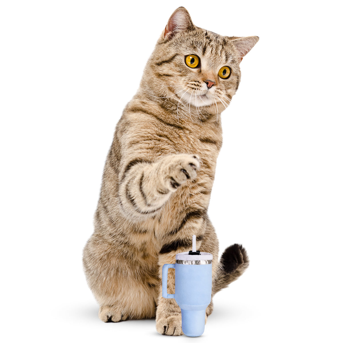 Kitty Cup Catnip Crinkle Toy