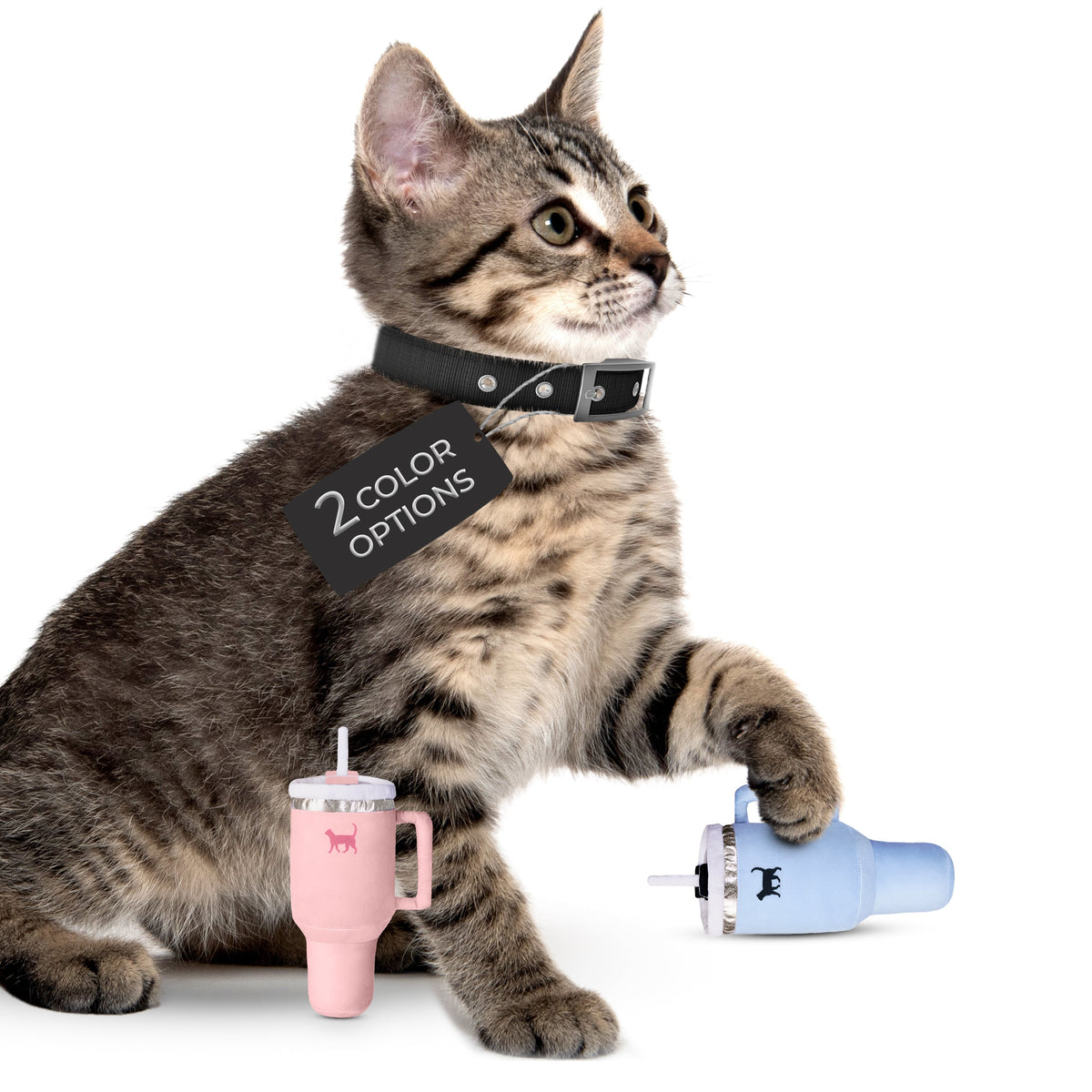 Kitty Cup Catnip Crinkle Toy