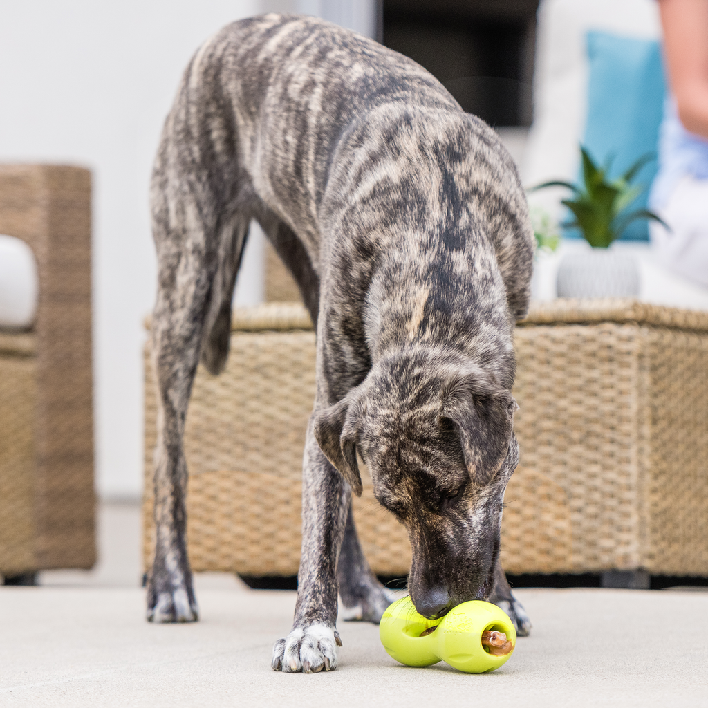 Qwizl Treat Toy
