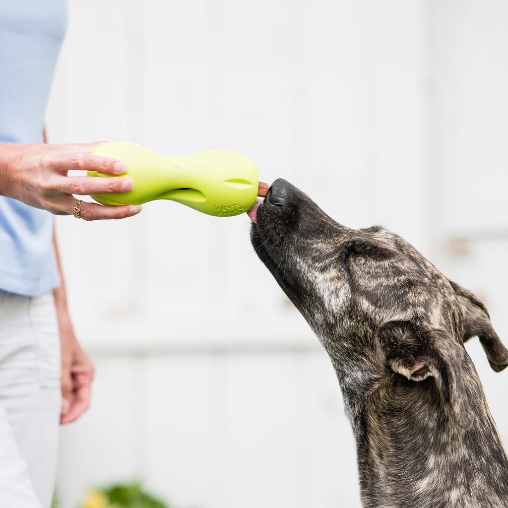 Qwizl Treat Toy