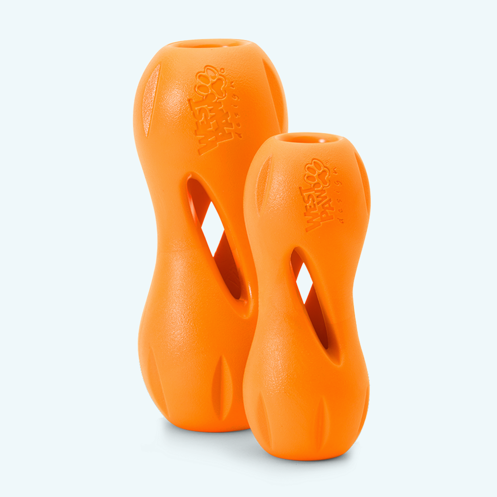 Qwizl Treat Toy