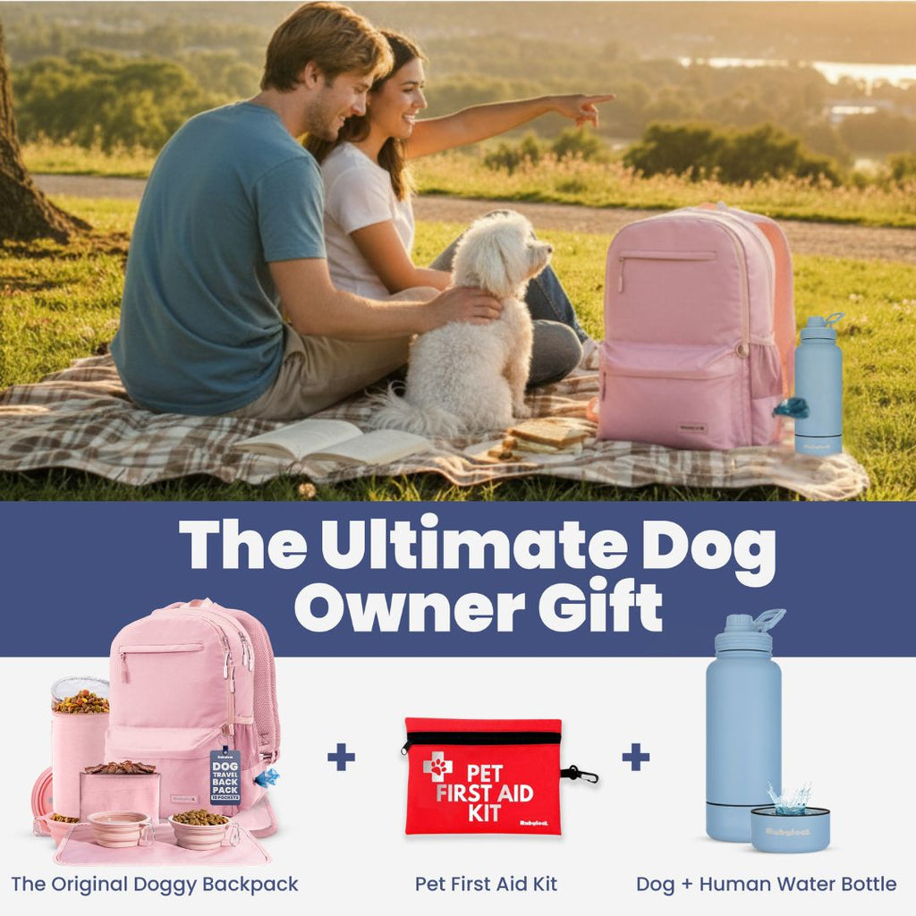 The Original Doggy Bag Backpack