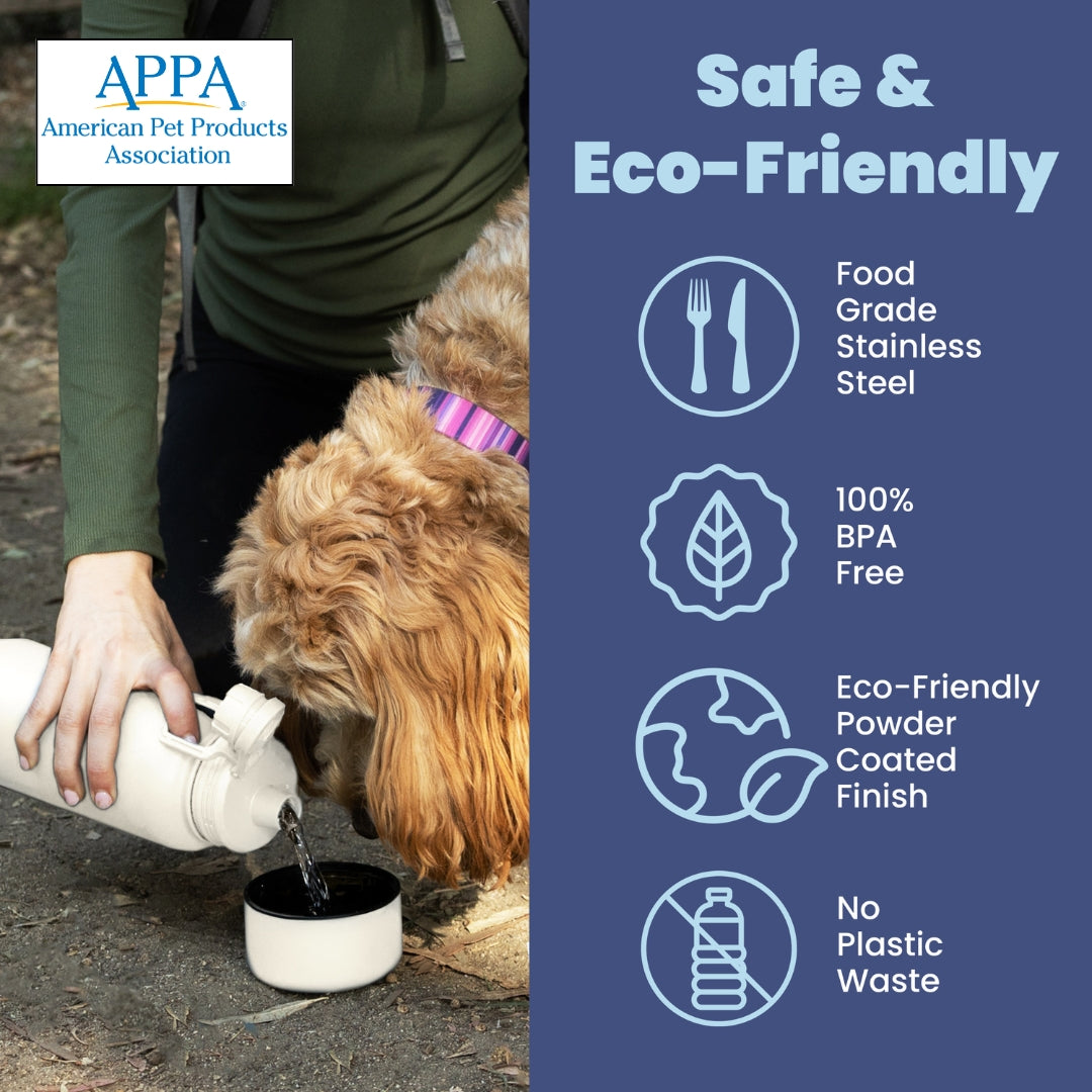 Dog + Human Water Bottle with Detachable Bowl