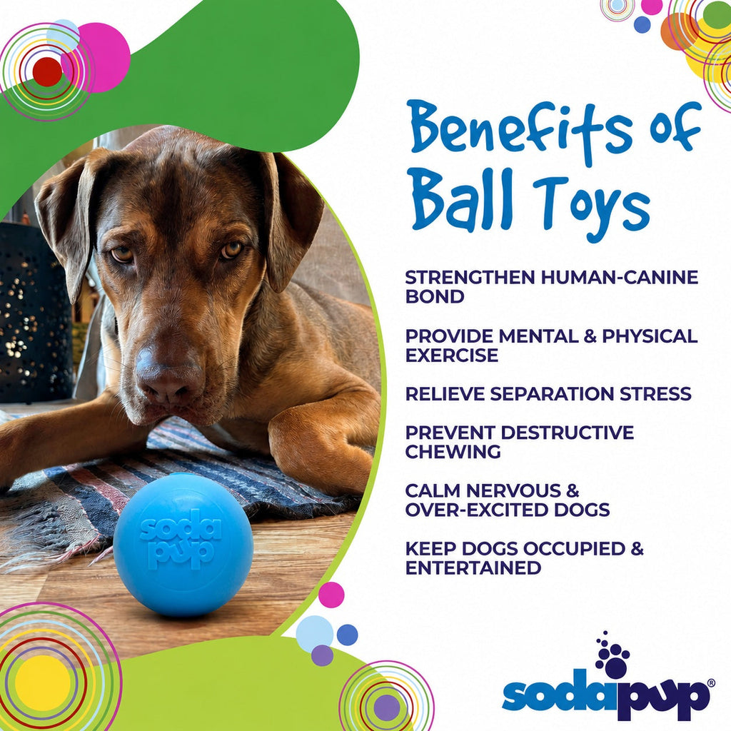 Floating Squeak Ball Dog Toy