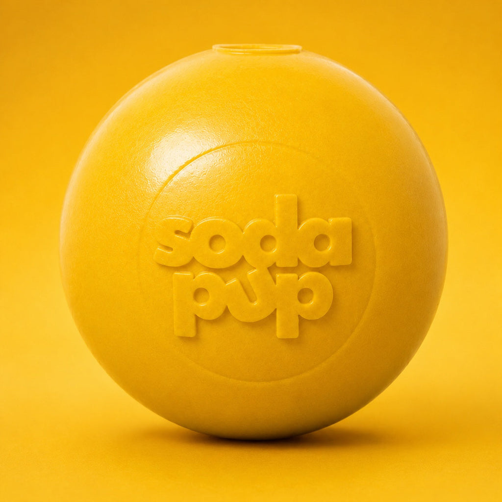 Floating Squeak Ball Dog Toy