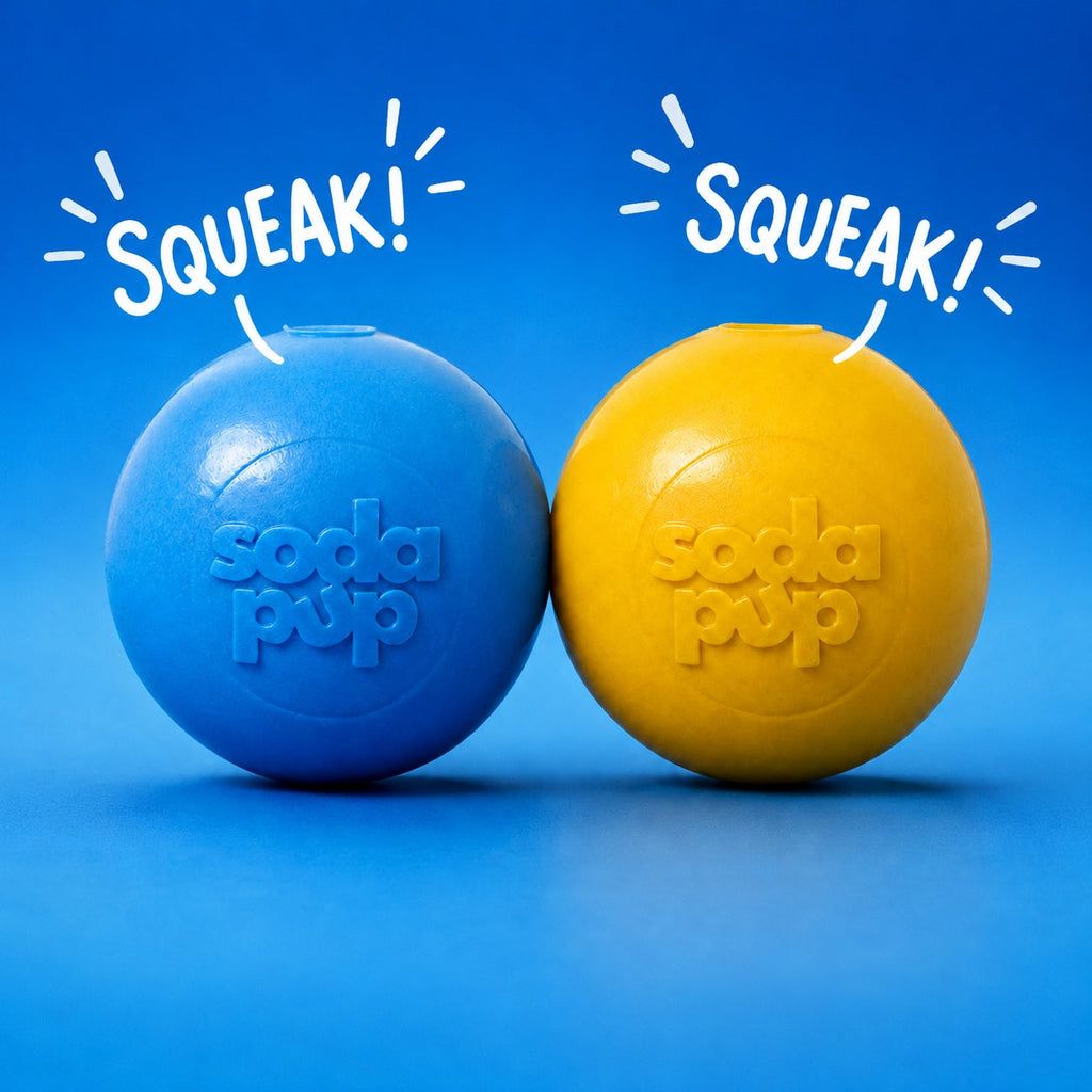 Floating Squeak Ball Dog Toy