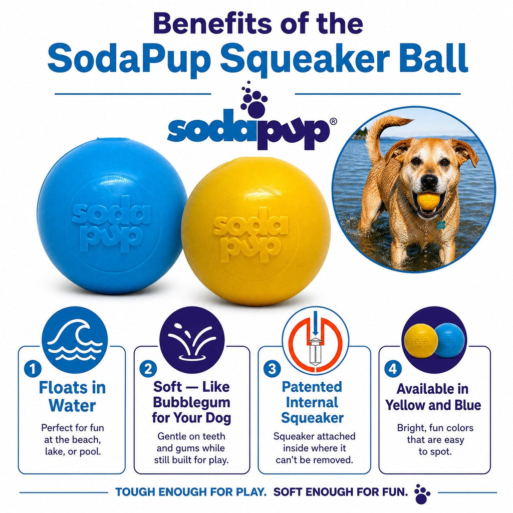 Floating Squeak Ball Dog Toy