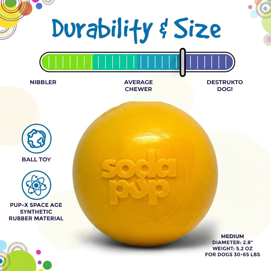 Floating Squeak Ball Dog Toy