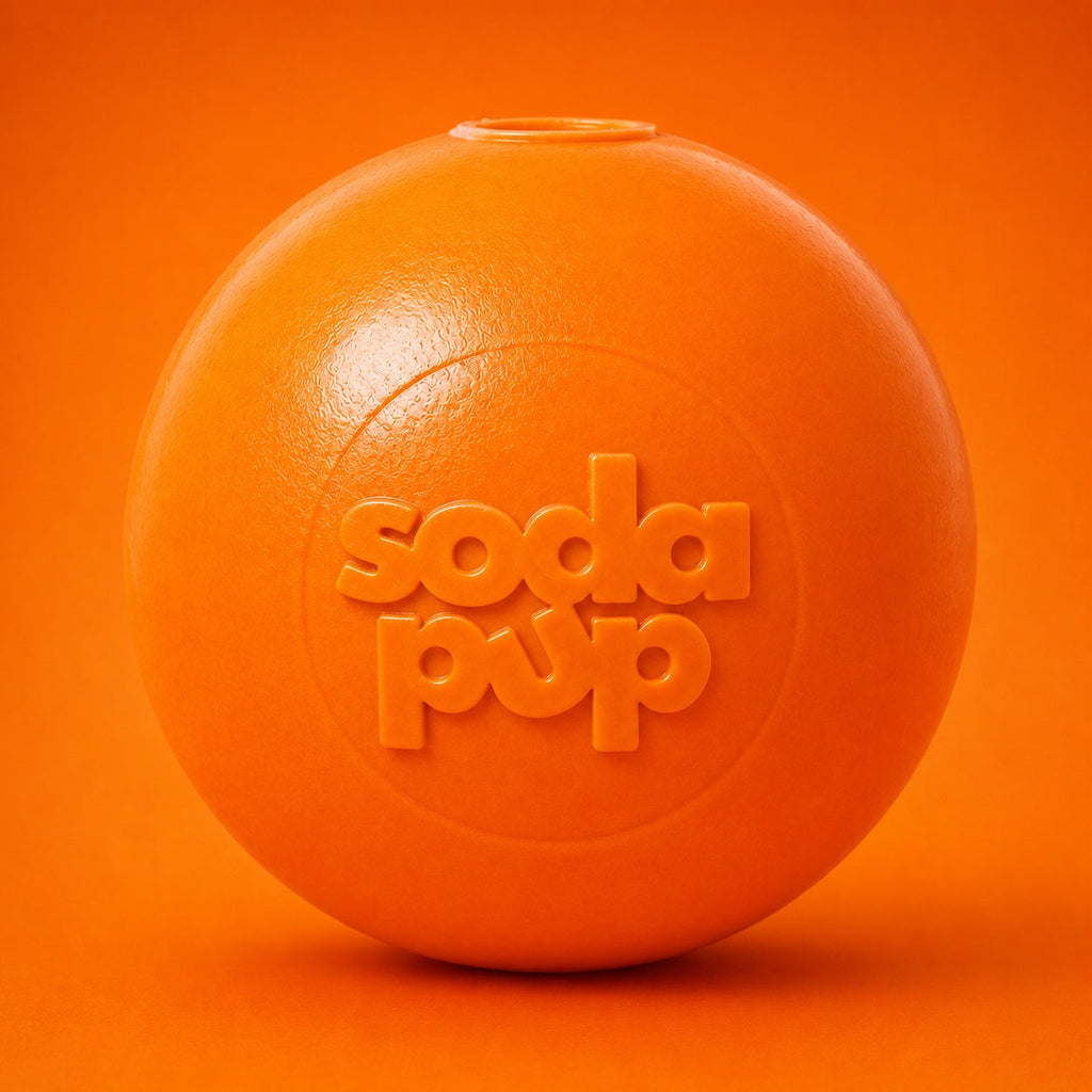 Floating Squeak Ball Dog Toy