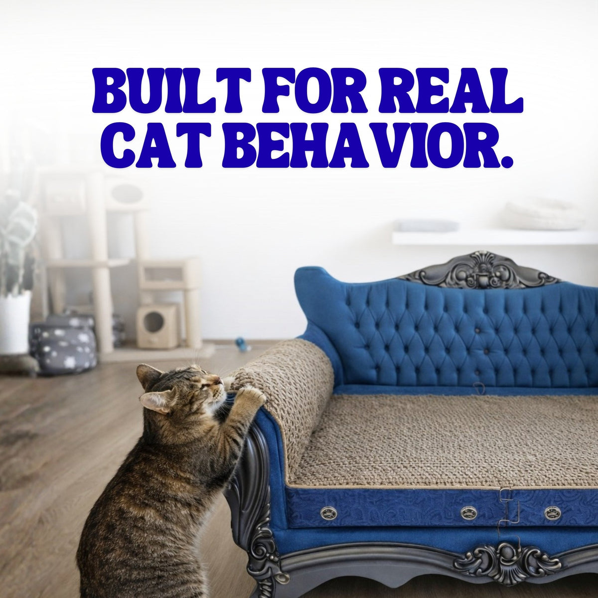 Catfidence Cat Scratcher Sofa
