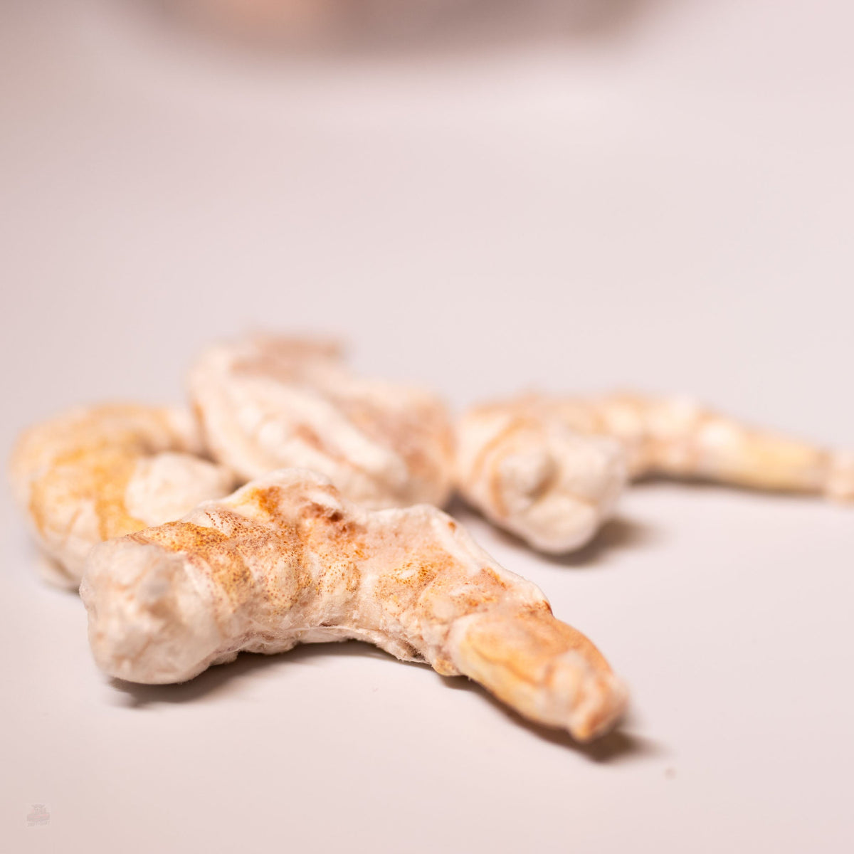 Freeze-Dried Shrimp Treats for Dogs and Cats