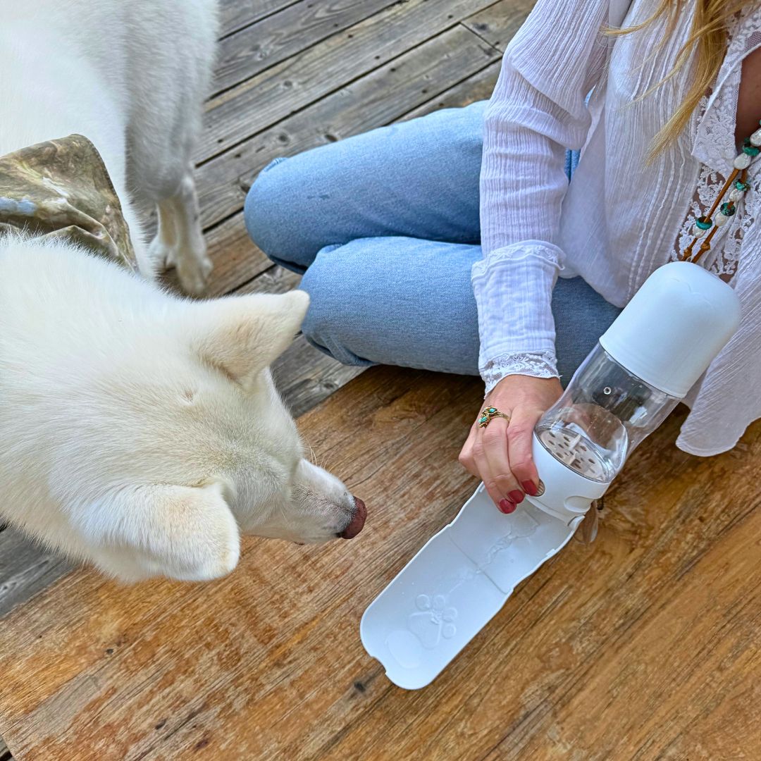 Travel Dog Water Bottle with Treat Holder