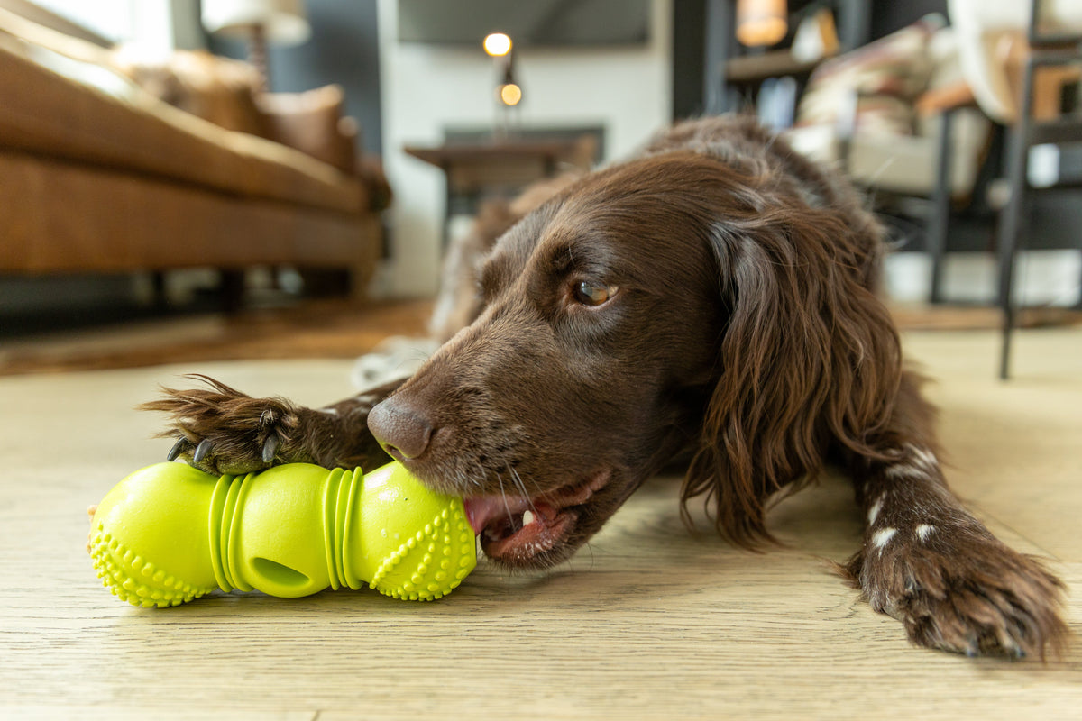 Flossr Rope Tug and Treat Holder