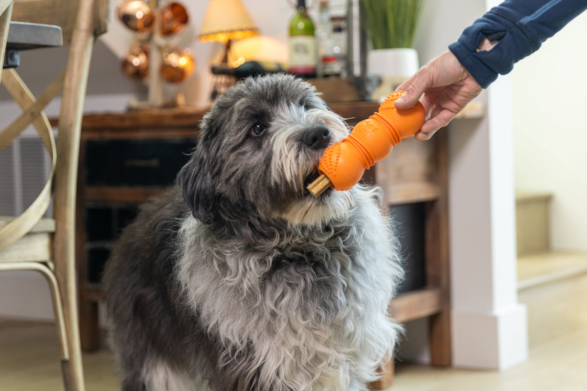 Flossr Rope Tug and Treat Holder