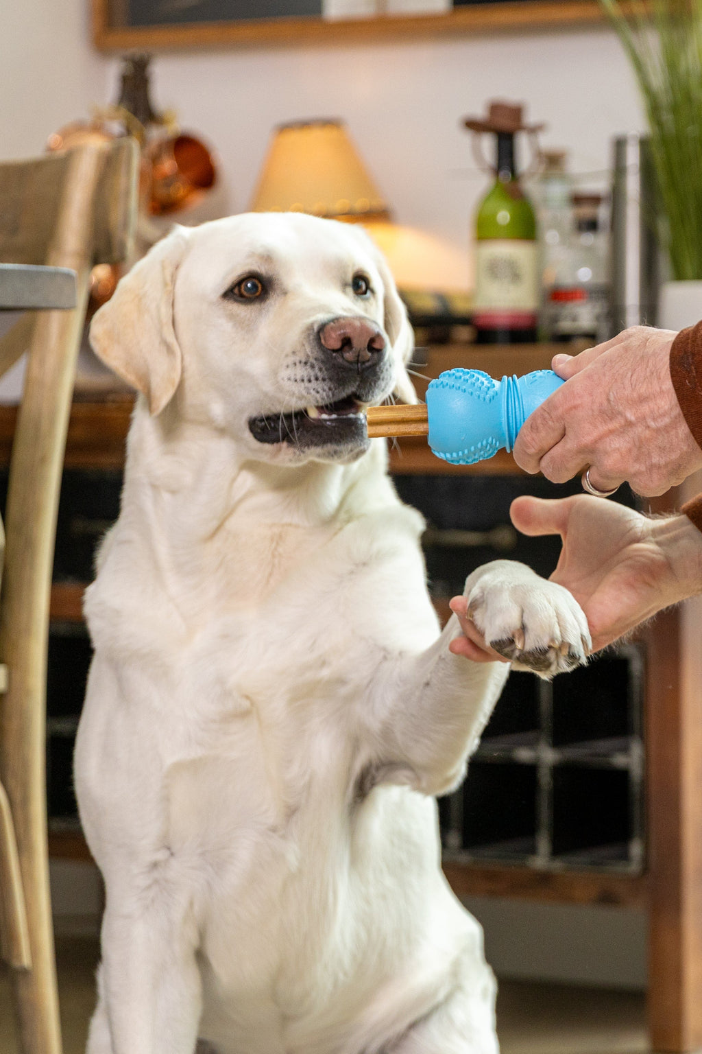 Flossr Rope Tug and Treat Holder