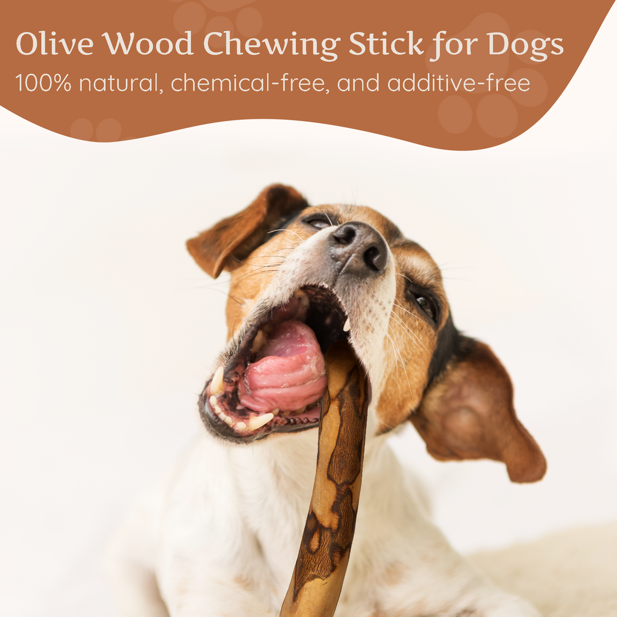 Olive Wood Dog Chew