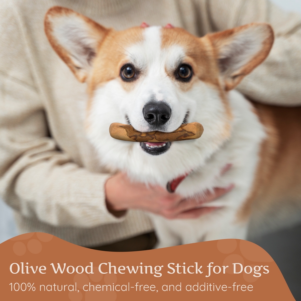 Olive Wood Dog Chew