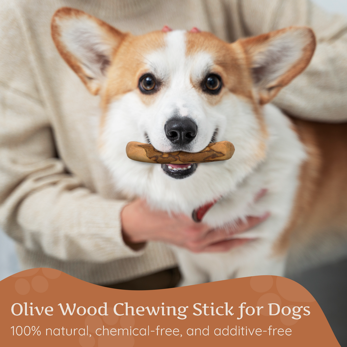 Olive Wood Dog Chew