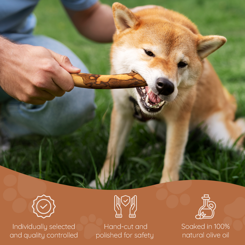Olive Wood Dog Chew