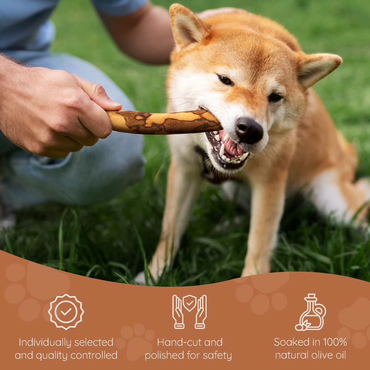 Olive Wood Dog Chew