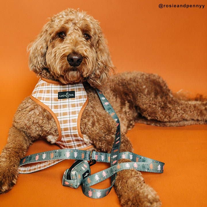 Take a Hike Dog Leash
