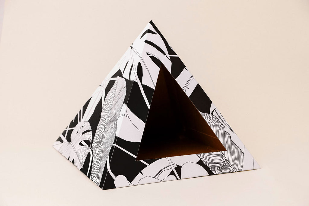 Dark Paradise Cardboard Cat Pyramid