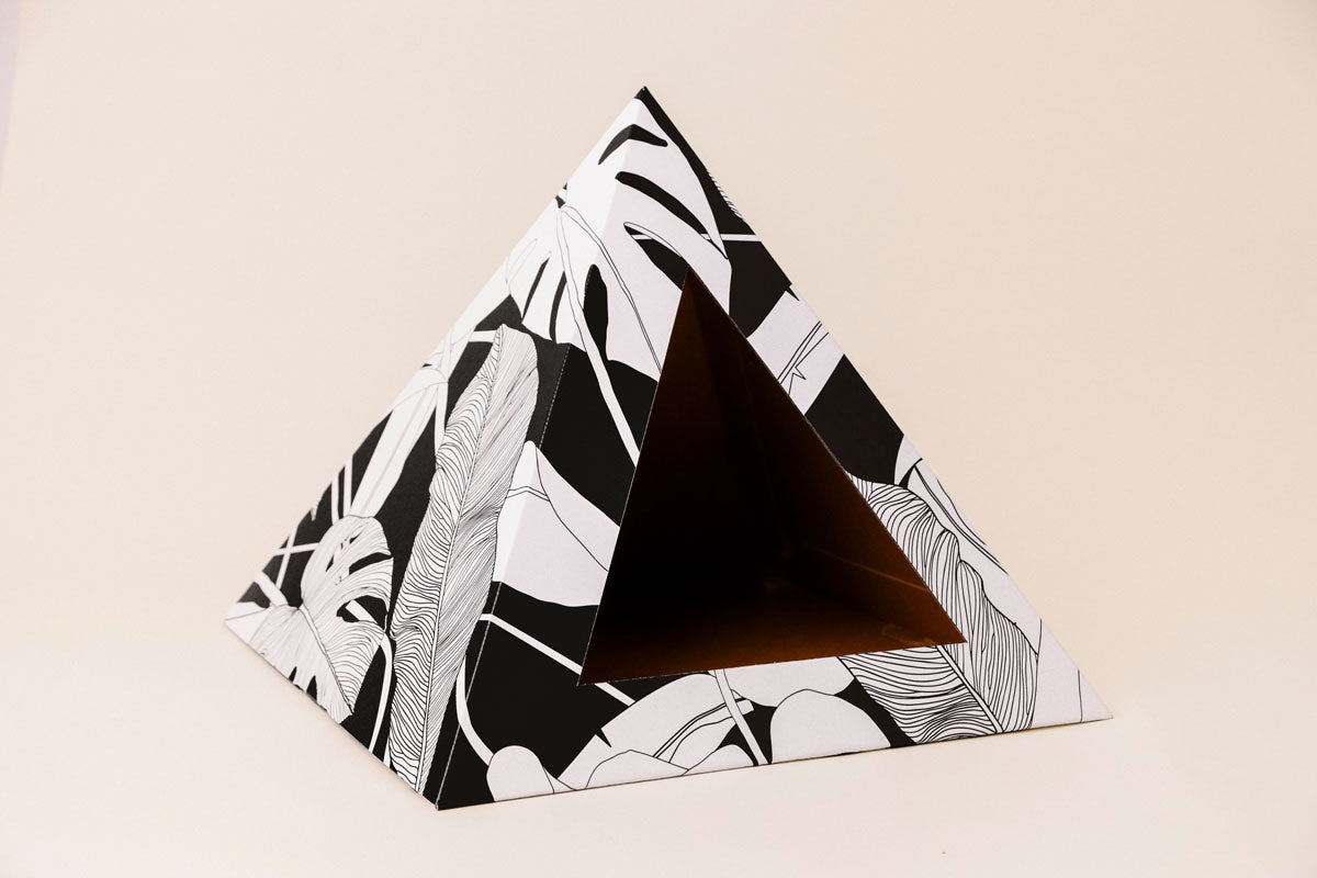 Dark Paradise Cardboard Cat Pyramid
