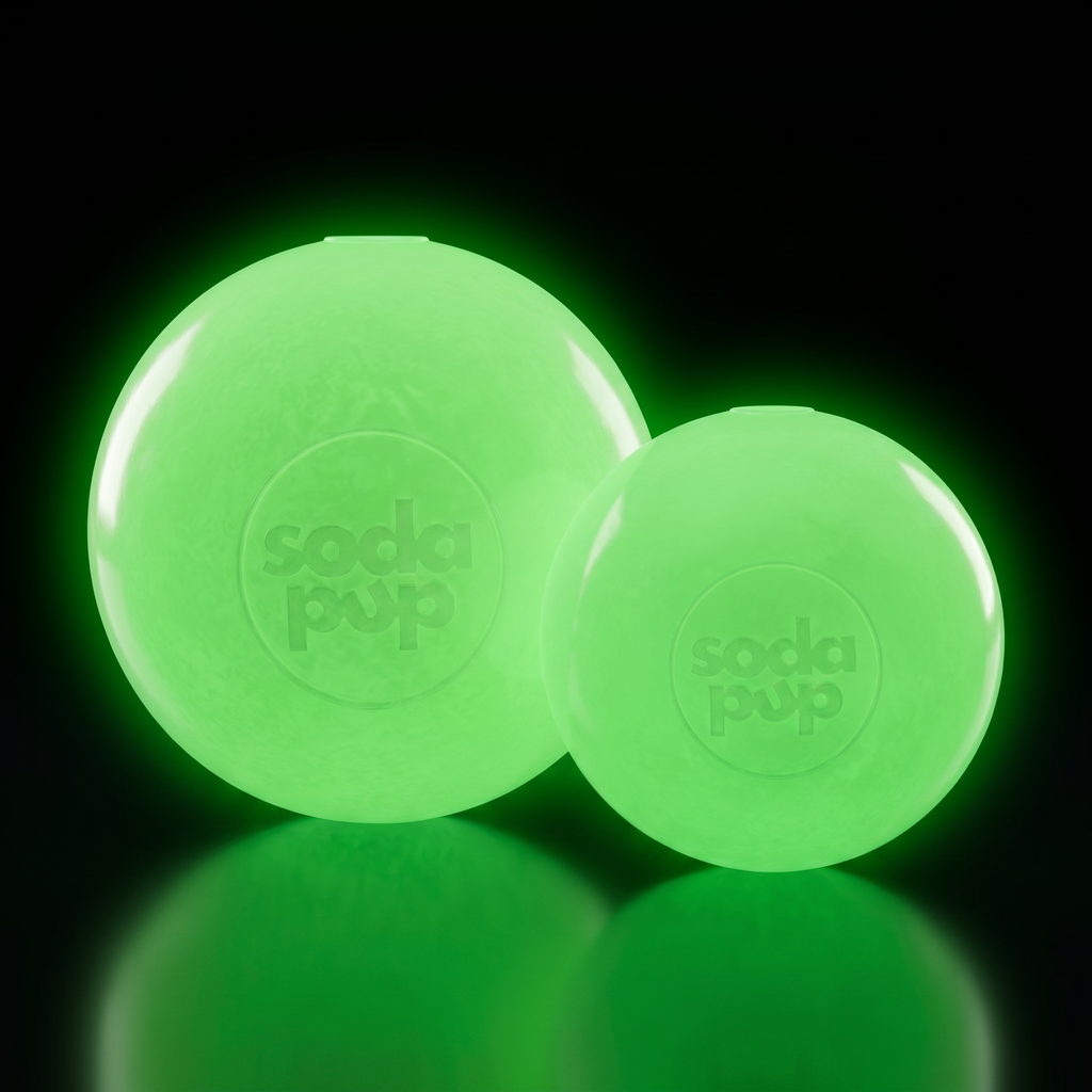 Floating Squeak Ball Dog Toy
