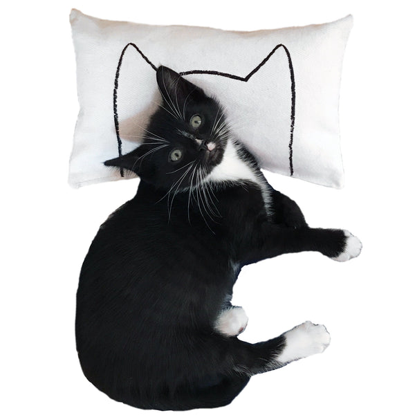 Catnip Kicker Pillow Cat Toy