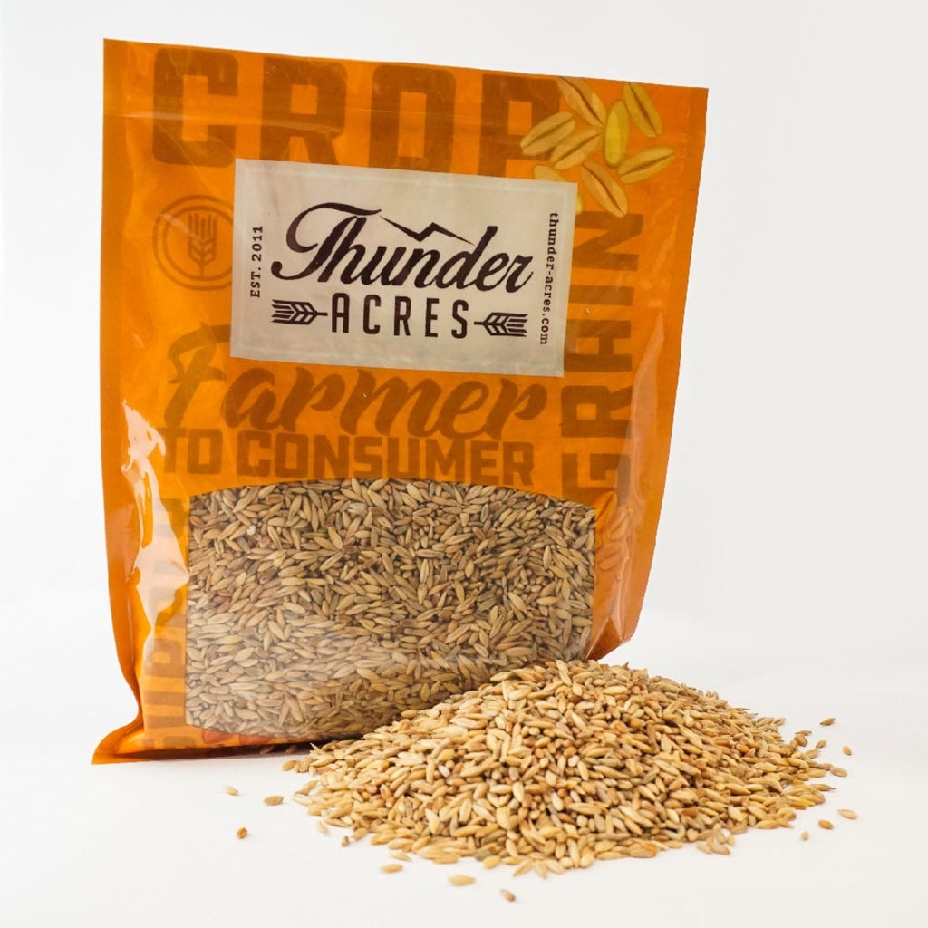 Organic Cat Grass Seed Blend
