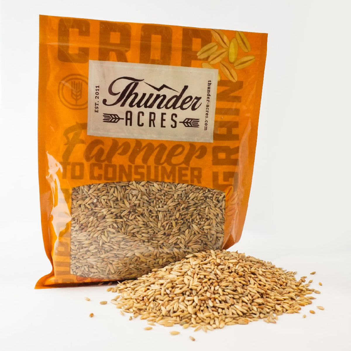 Organic Cat Grass Seed Blend