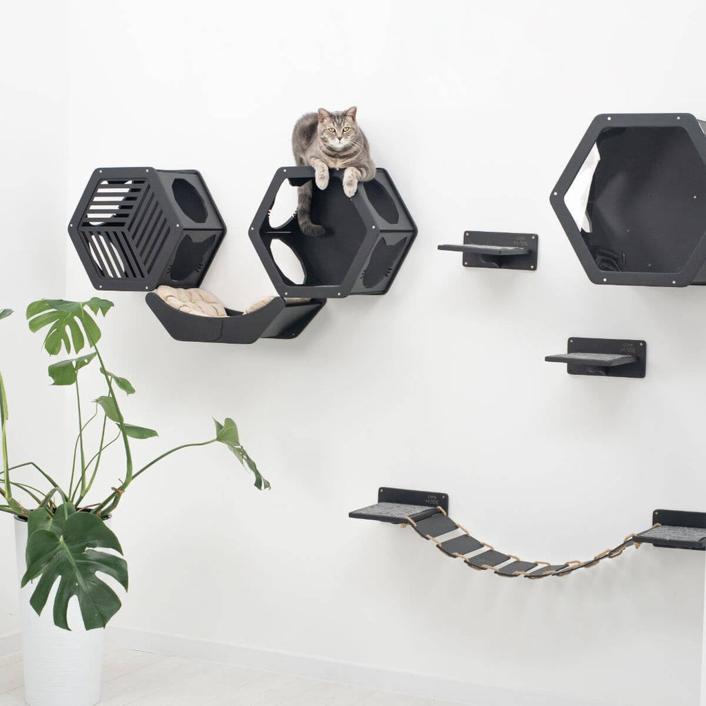 Curved Wall-Mounted Cat Bed, Black